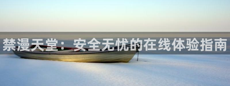 虫虫漫画官网版入口：禁漫天堂：安全无忧的在线体验指南