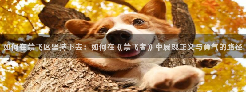 age樱花动漫：如何在禁飞区坚持下去：如何在《禁飞者》中展现正义与勇气的路径