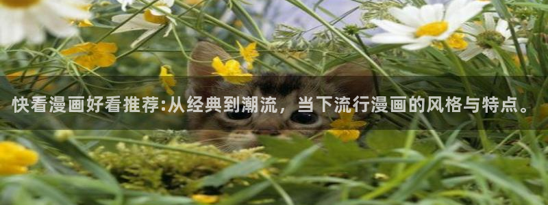 虫虫漫画官网樱花动漫：快看漫画好看推荐:从经典到潮流，当下流行漫画的风格与特点。