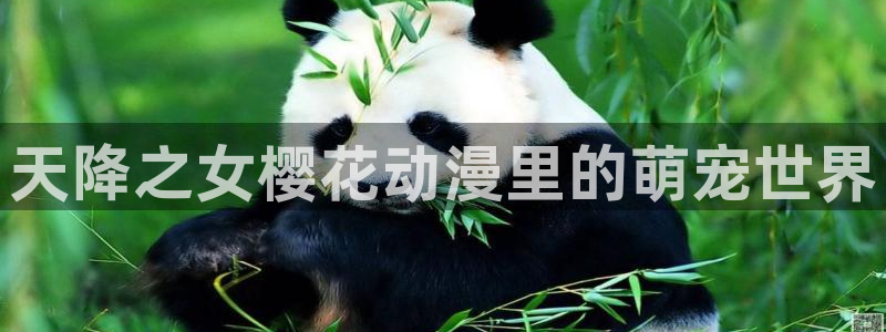 managereader漫画官网入口：天降之女樱花动漫里的萌宠世界