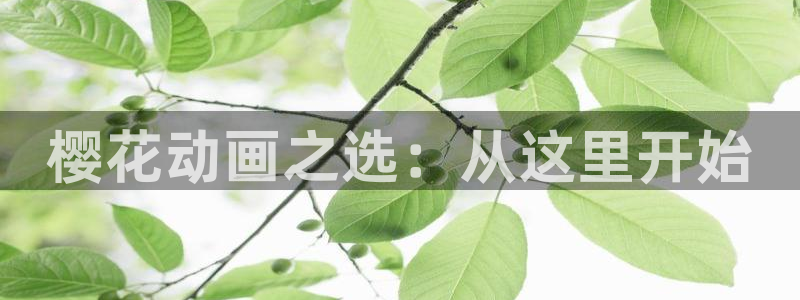 age樱花动漫：樱花动画之选：从这里开始