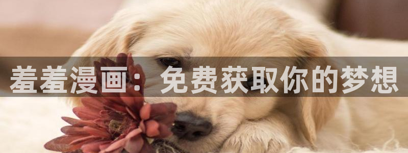 虫虫漫画网下载：羞羞漫画：免费获取你的梦想