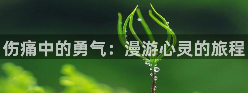 虫虫漫画网上看：伤痛中的勇气：漫游心灵的旅程
