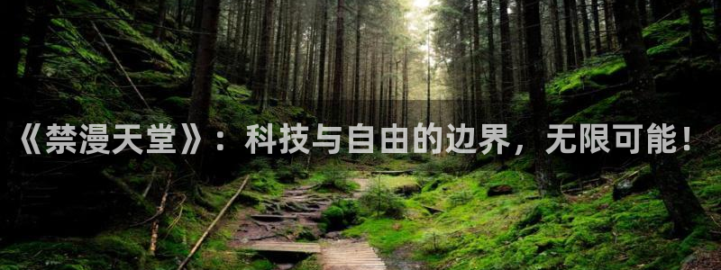 虫虫漫画网官网入口：《禁漫天堂》：科技与自由的边界，无限可能！