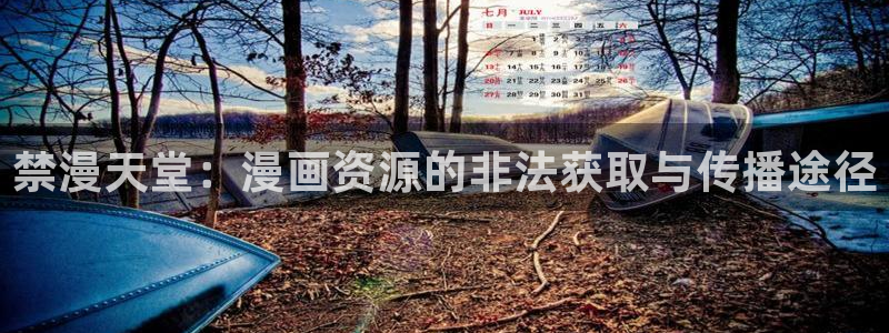age漫画网：禁漫天堂：漫画资源的非法获取与传播途径