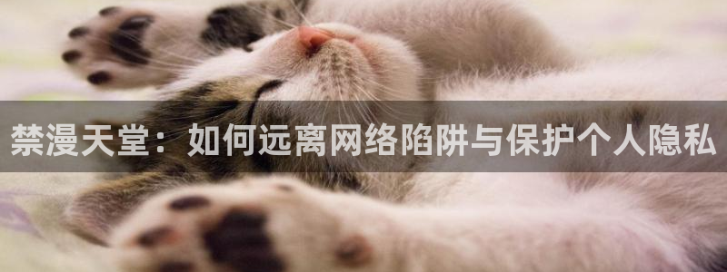 韩国漫画平台kakaopage：禁漫天堂：如何远离网络陷阱与保护个人隐私