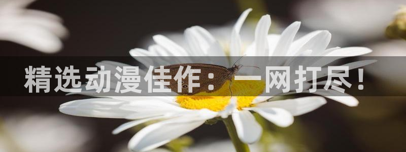 在线动画动漫下载虫虫漫画：精选动漫佳作：一网打尽！