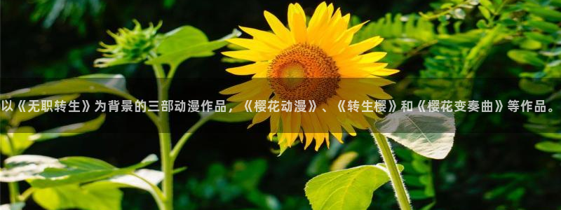 age漫画网：以《无职转生》为背景的三部动漫作品，《樱花动漫》、《转生樱》和《樱花变奏曲》等作品。