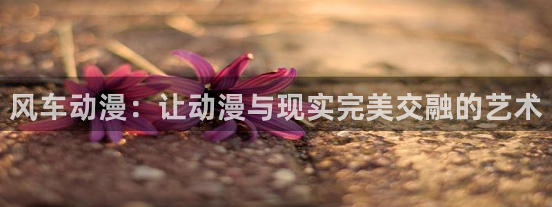 虫虫漫画下载网：风车动漫：让动漫与现实完美交融的艺术