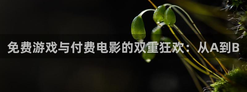 虫虫漫画网上看：免费游戏与付费电影的双重狂欢：从A到B