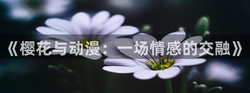 lovestage漫画免费阅读：《樱花与动漫：一场情感的交融》