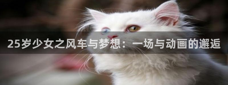 拷贝漫画 copymanager.ory网站：25岁少女之风车与梦想：一场与动画的邂逅