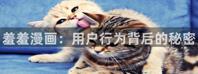 虫虫漫画下载网：羞羞漫画：用户行为背后的秘密