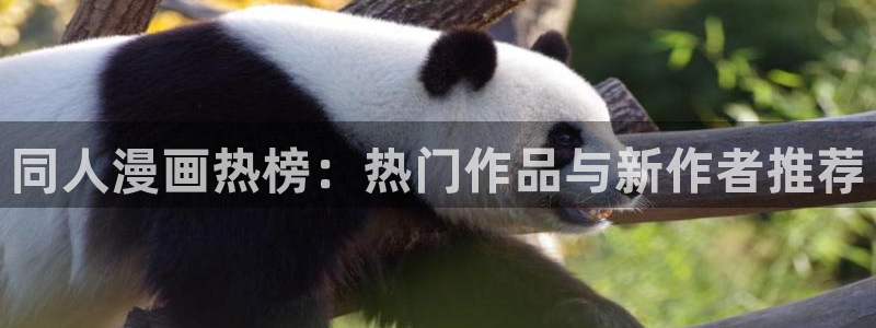 虫虫漫画官网网址：同人漫画热榜：热门作品与新作者推荐