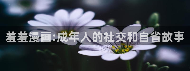 虫虫漫画官网入口老版本：羞羞漫画:成年人的社交和自省故事